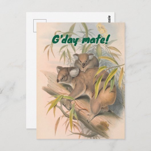 G'day Mate Australian Gruß mit Koalas Postkarte (Vorne/Hinten)