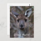 G'Day Mate Kangaroo Australien Postkarte (Vorne/Hinten)