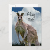 G'Day Mate Kangaroo Postcard Postkarte (Vorne/Hinten)