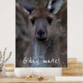 G'day Mate Western Gray Kangaroo Poster (Küche)