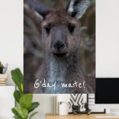 G'day Mate Western Gray Kangaroo Poster (Heimbüro)