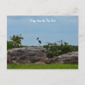 G'day Postkarte (Vorderseite)