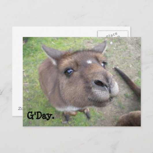 G'Day. Postkarte (Vorne/Hinten)