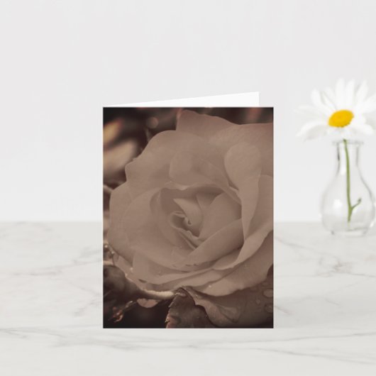 Gealterte Vintage-Sepia-Rosenblüten-Notiz Karte (Kleine Pflanze)