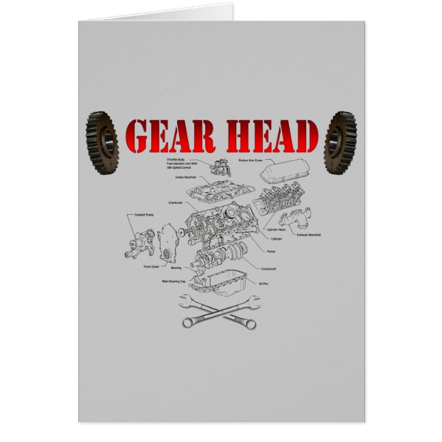 GEAR HEAD (Vorne)