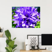 geballte Blume (Campanula glomerata Superba) Poster (Heimbüro)