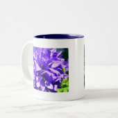 geballte Blume (Campanula glomerata Superba) Zweifarbige Tasse (Vorderseite Links)