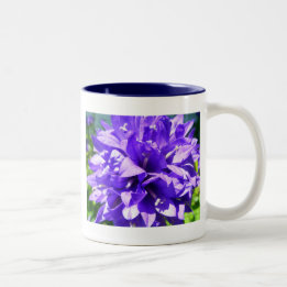 geballte Blume (Campanula glomerata Superba) Zweifarbige Tasse