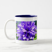 geballte Blume (Campanula glomerata Superba) Zweifarbige Tasse (Links)