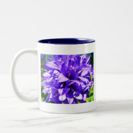 geballte Blume (Campanula glomerata Superba) Zweifarbige Tasse