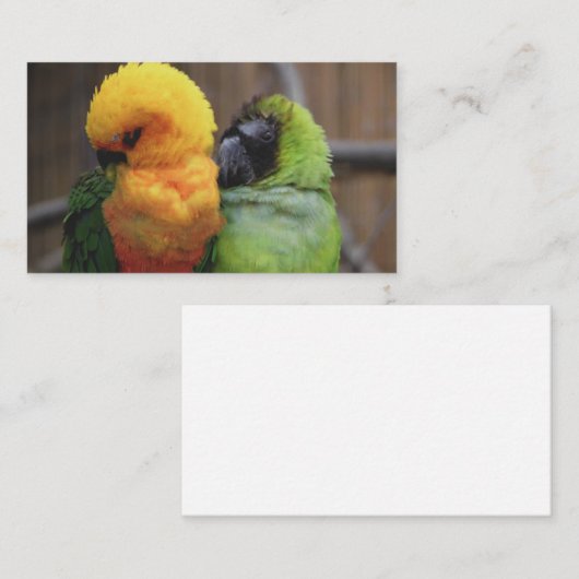 Gebärende Vögel Visitenkarte (Vorne/Hinten)