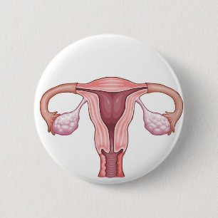 Gebärmutter Button