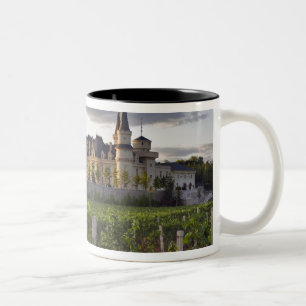 Gebäude aus dem Weinberg bei Zweifarbige Tasse