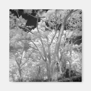 Gebäude und Wanderwege in Las 2, Infra rot Magnet