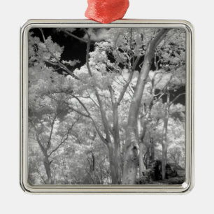 Gebäude und Wanderwege in Las 2, Infra rot Silbernes Ornament