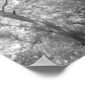 Gebäude und Wanderwege in Las 2 Poster (Ecke)