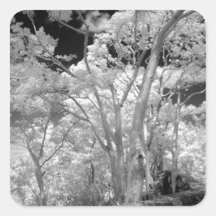 Gebäude und Wanderwege in Las 2 Quadratischer Aufkleber