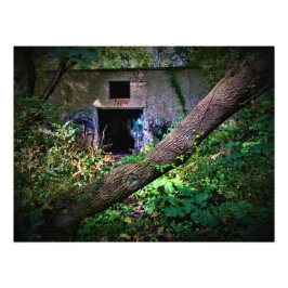 "Geben Sie an, wenn Sie CrAzY genug sind" Fotodruck