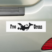 Geben Sie die Schwertwale frei Autoaufkleber (On Car)