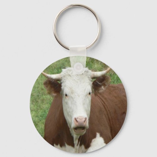 Geben Sie 'Em der Vogel für Erntedank Schlüsselanhänger (Vorderseite)