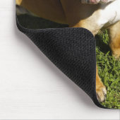 Geben Sie ihm eine Erholung! Mousepad (Ecke)