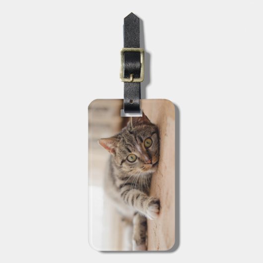 Geben Sie Ihren eigenen Gepäckanhänger für Fotos m (Vorderseite vertikal)