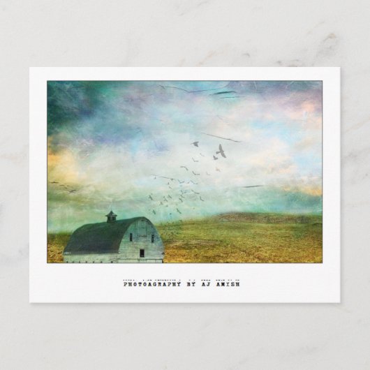 geben Sie mir den offenen Himmel zurück - Postkarte (Vorderseite)