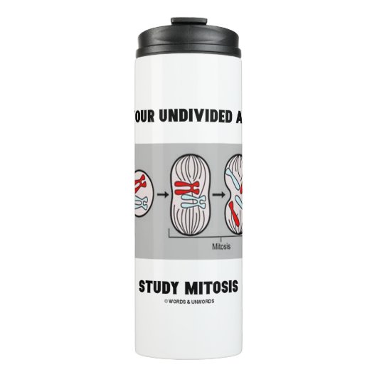 Geben Sie mir Ihre ungeteilte Aufmerksamkeit Studi Thermosbecher (Vorderseite)