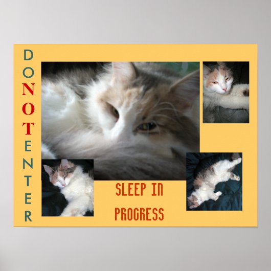 GEBEN SIE NICHT EIN...... POSTER (Vorne)