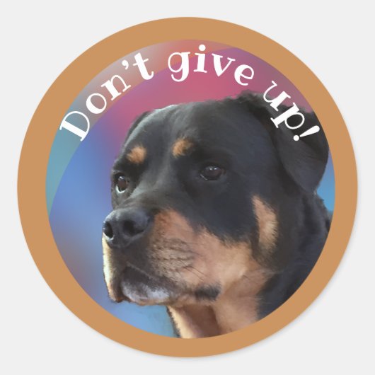 Geben Sie Rottweiler Classic Round Sticker nicht a (Vorderseite)