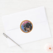 Geben Sie Rottweiler Classic Round Sticker nicht a (Umschlag)