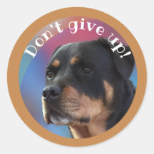 Geben Sie Rottweiler Classic Round Sticker nicht a