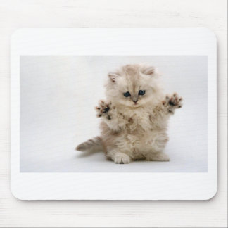 Geben Sie Umarmungs-Kätzchen frei Mousepad