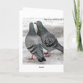 Geben Sie uns eine Kuss-Tauben-Karte Karte (Rückseite)