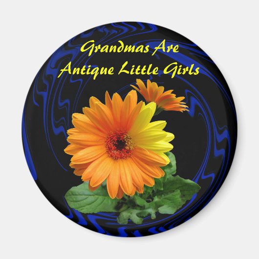 GEBER DAISY -MAGNET MAGNET (Vorne)