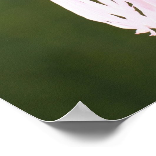 Gebet des Heiligen Franziskus Poster (Ecke)