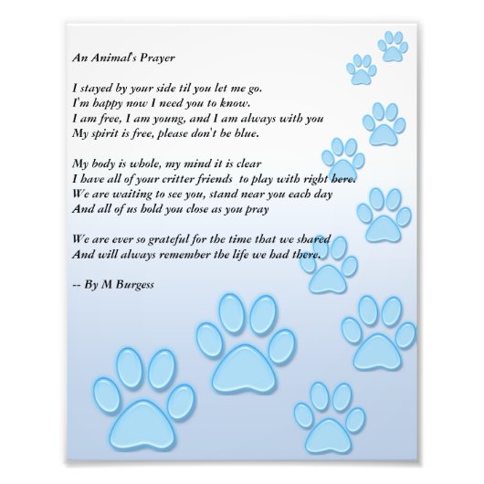 Gebet eines Tieres - Fotodruck (Vorne)