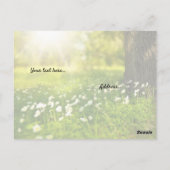 Gebet für Gottes Führung, Frühjahrszene Postkarte (Rückseite)