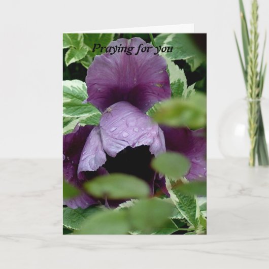 Gebet für Sie Karte (Vorderseite)