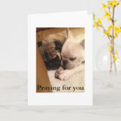 Gebet für Sie Karte (Gelbe Blume)