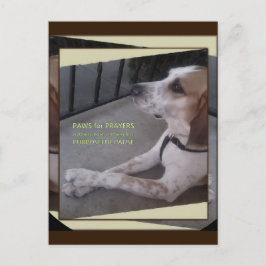 Gebet Hund Paws Postkarte