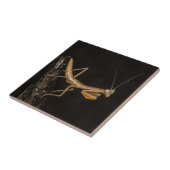 Gebet Mantis Niedliche und gruselige Insektenkunst Fliese (Seite)