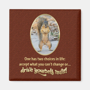 Gebete der Stille in einer Nuss Magnet