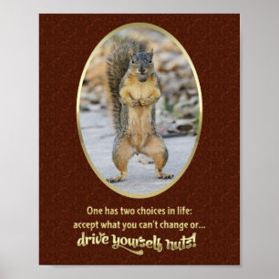 Gebete der Stille in einer Nuss Poster