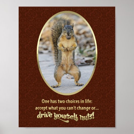 Gebete der Stille in einer Nuss Poster (Vorne)