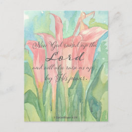 Gebetskarte 1 Corinthians Pink Calla Lily Blume Postkarte