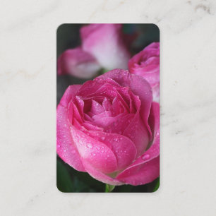 Gebetskarte Delikate Rose Visitenkarte