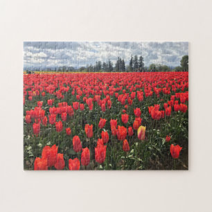 Gebiet Ballerina Tulips, Oregon Puzzle