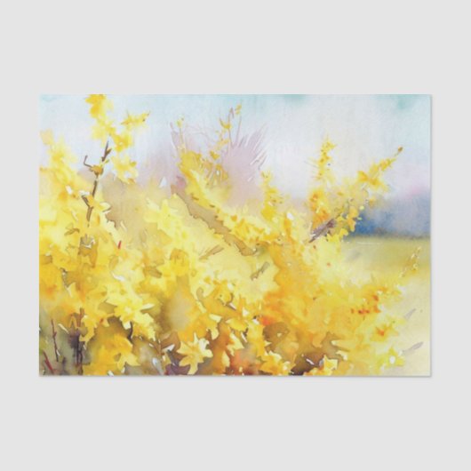 Gebiet Blume-Forsythia (A) Aquarellfarben Seidenpapier (Vorderseite)