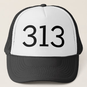 Gebiet Code 313 (Detroit) Truckerkappe